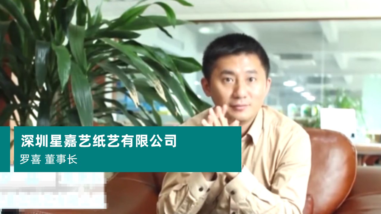 深圳星嘉藝紙藝有限公司