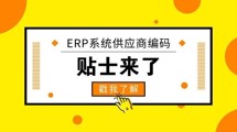 ERP系統(tǒng)供應(yīng)商編碼技巧總結(jié)